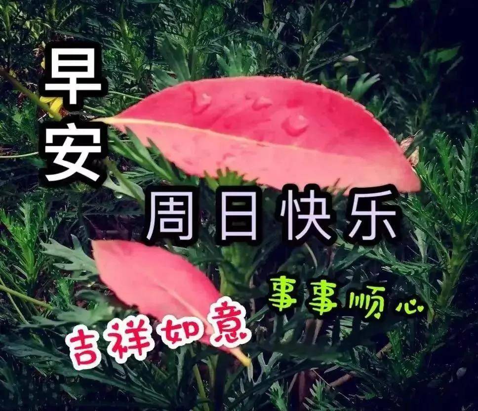 原创2021年10月18日星期一清晨早上好问候祝福图片周日最新早安问候