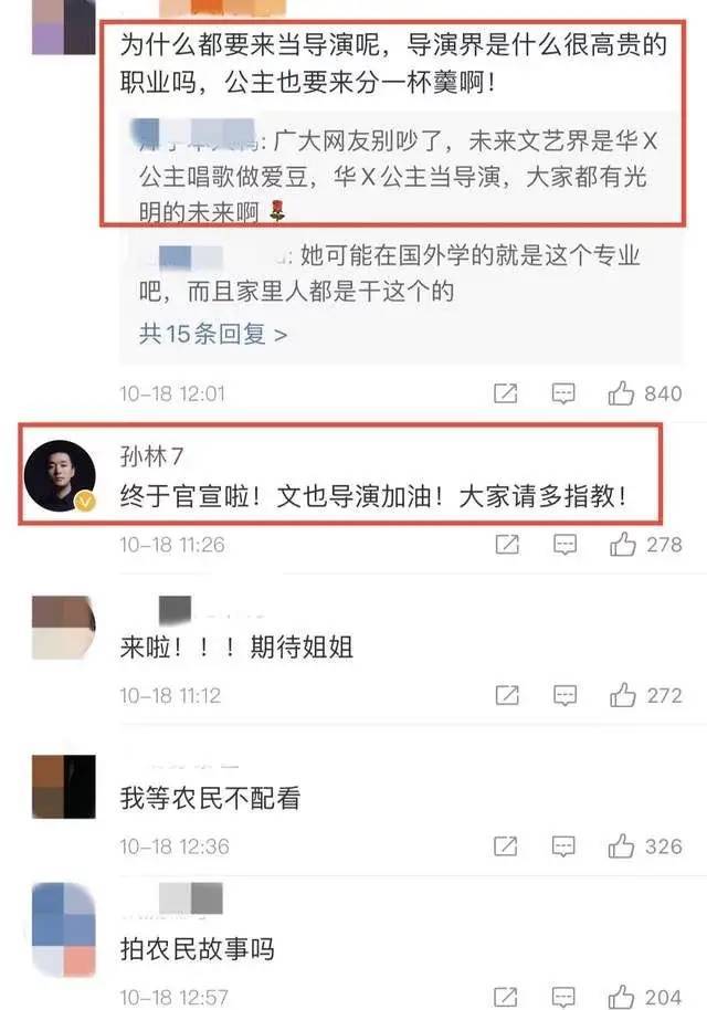 华谊千金王文也即将出道?_蔡键承