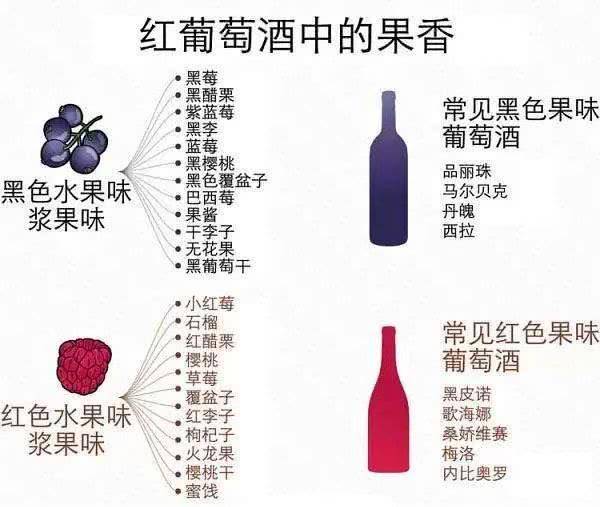 红葡萄品种葡萄酒典型的香气有哪些?