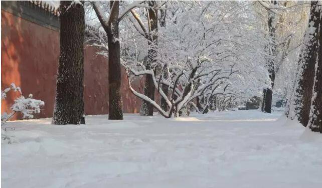 千树万树梨花开北京山区多地下雪