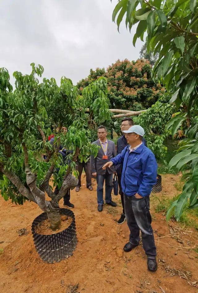 客联客家大岭山公益活动在广东东莞举行