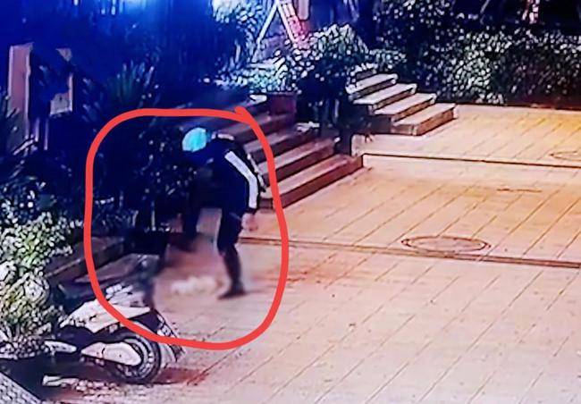 珠海一外卖骑手当街反复狠摔小猫看其还能挣扎又对着脑袋猛踩