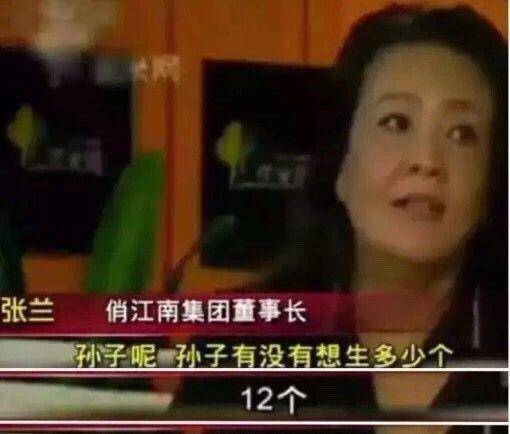 随后,汪小菲与母亲张岚相继卷入经济纠纷.