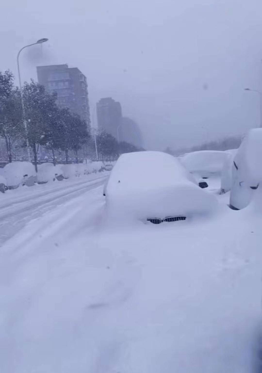 东北暴雪部分地区厚度超1米?千真万确!