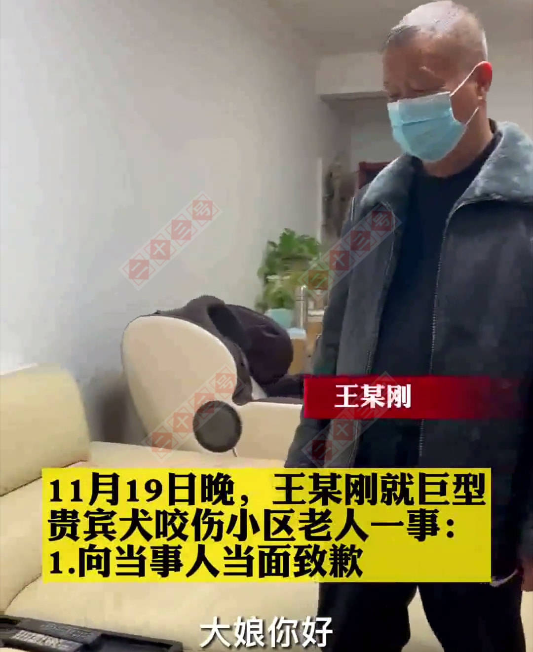原创太不容易了安阳狗咬伤老人事件后续王某刚终于道歉了