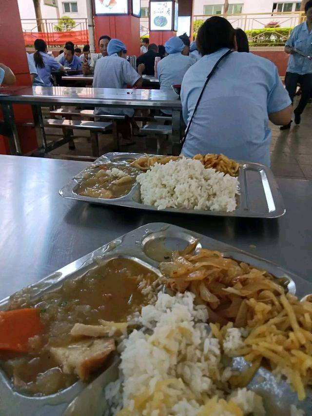 原创打工者我从来没见过这么差的伙食喂猪猪都不吃