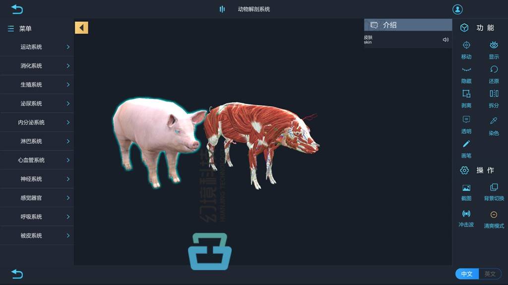 动物解剖虚拟仿真系统为中职学校动物实验教学开辟数字化教学模式