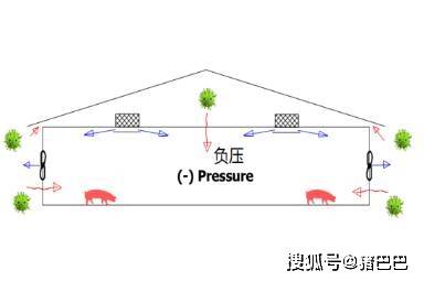干货!常见的三种猪舍通风方式