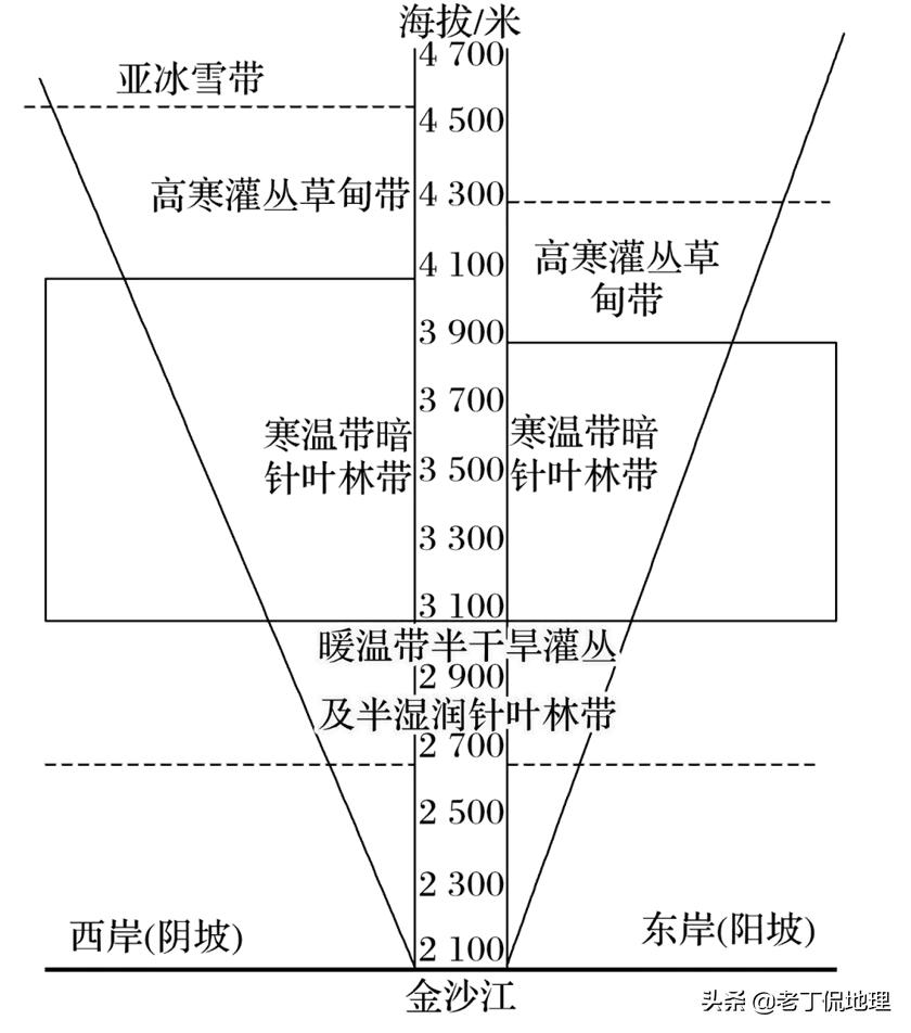 微专题:倒置的垂直地带性_植被_横断山_针叶林