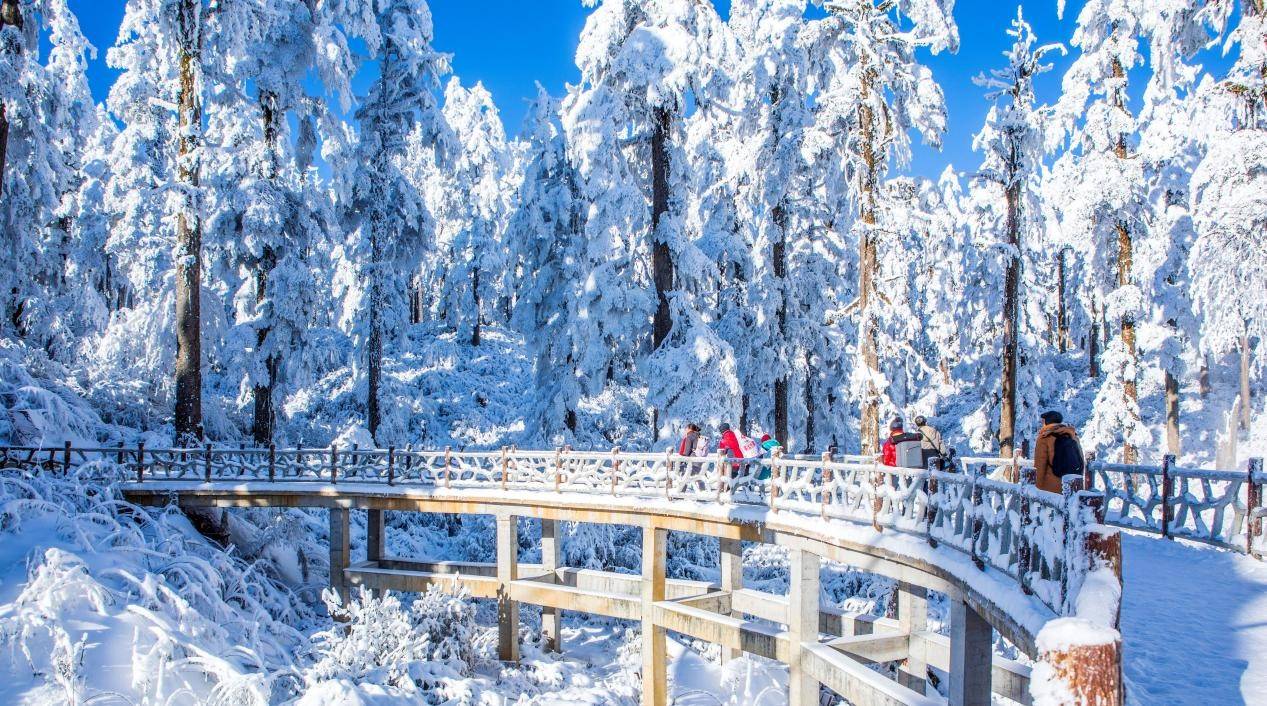 官宣!三大野生萌宠空降,燃情开启瓦屋山最萌冰雪嘉年华!人民网四川免