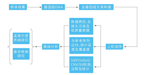 1.2人全基因组测序技术路线