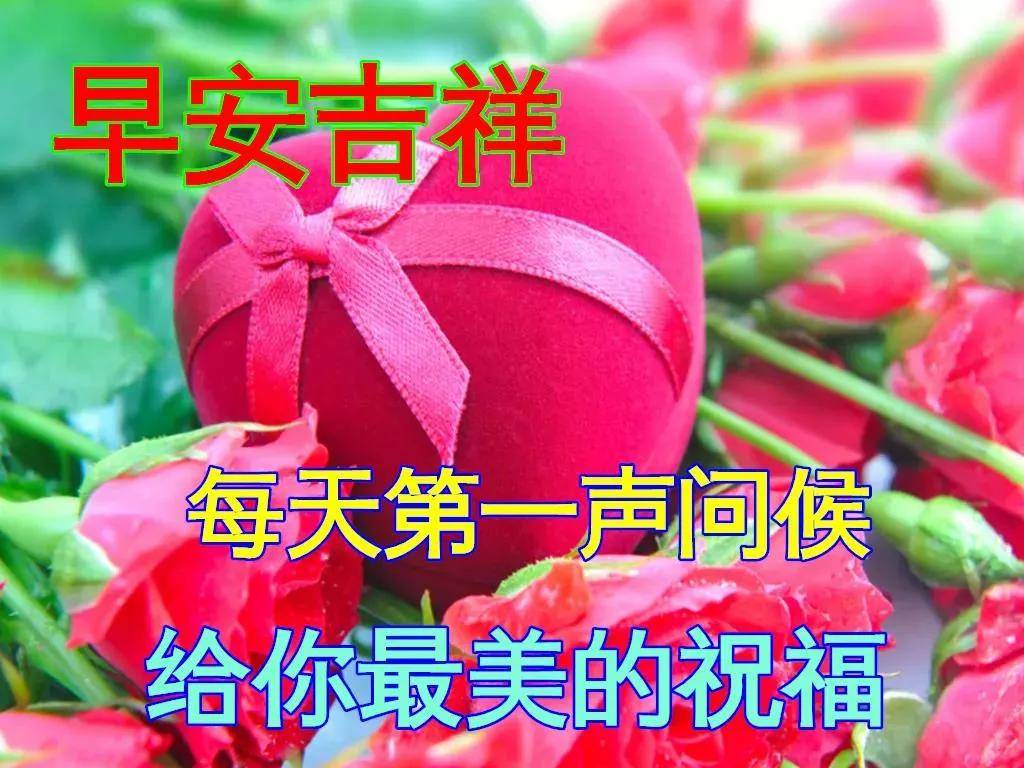 6张漂亮好看的冬日早上好动态美图鲜花带字,12月冬日早晨好幸福暖心的