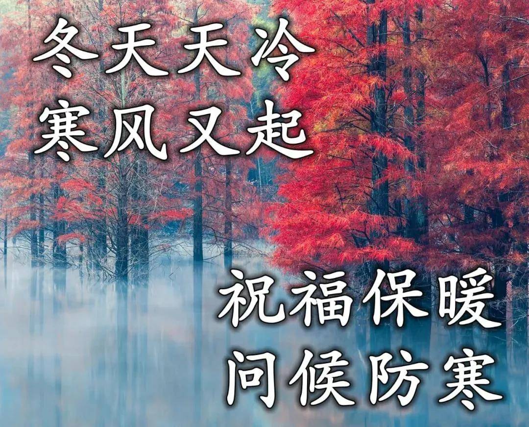 原创8张最新版漂亮清晨好图片带字温馨暖心的冬日早上好问候祝福图片