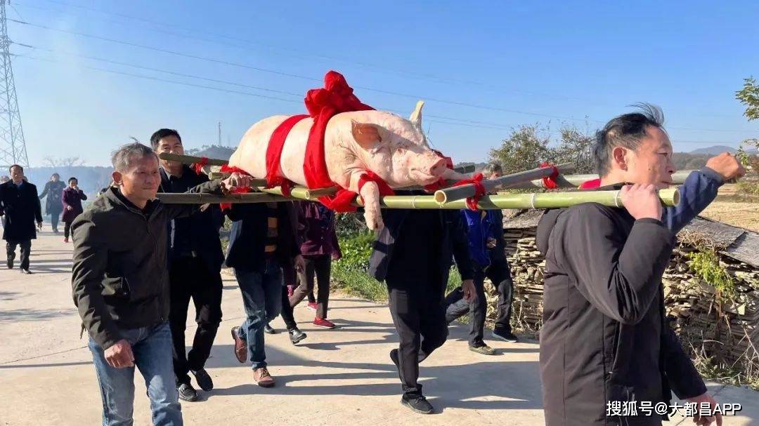 吴氏族人抬喜猪供奉祖先