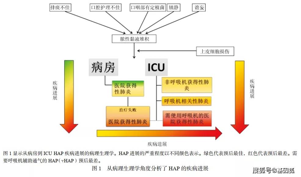糖尿病,酒精中毒,慢性肾衰竭,呼吸衰竭等)