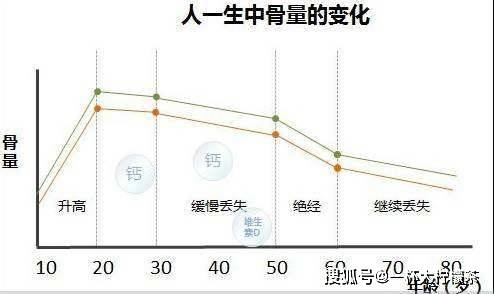 峰值骨量是人一生中所能达到的最大骨矿物密度.