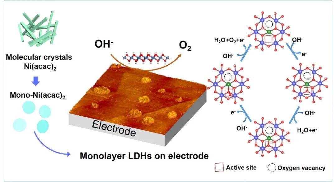 北航在单层氢氧化镍钴纳米材料制备及电催化产氧机理研究获新进展