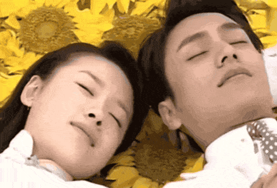 原创恋爱脑董洁的前尘往事我们都错怪她了