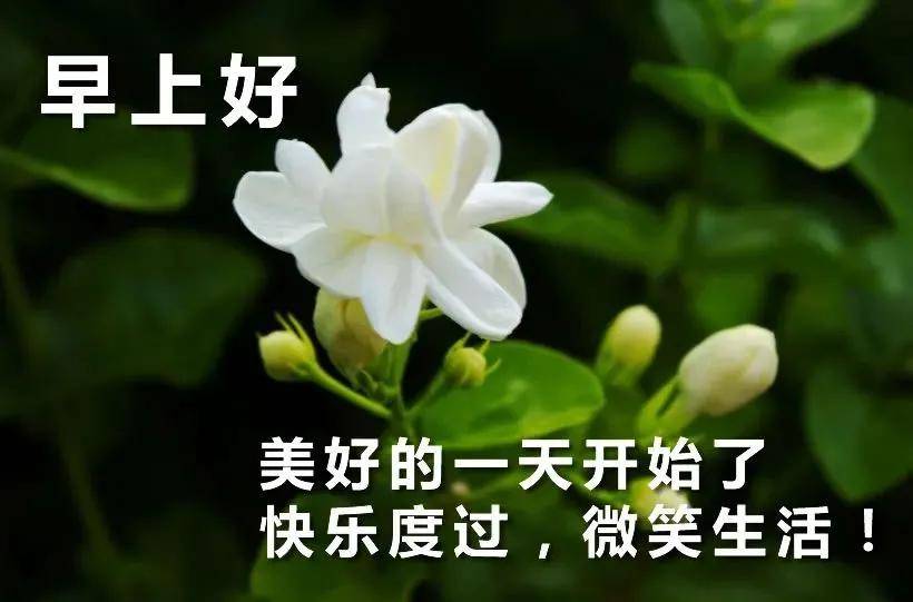 原创寒冷清晨发朋友圈的早上好漂亮图片早安动图早安唯美动态表情祝福