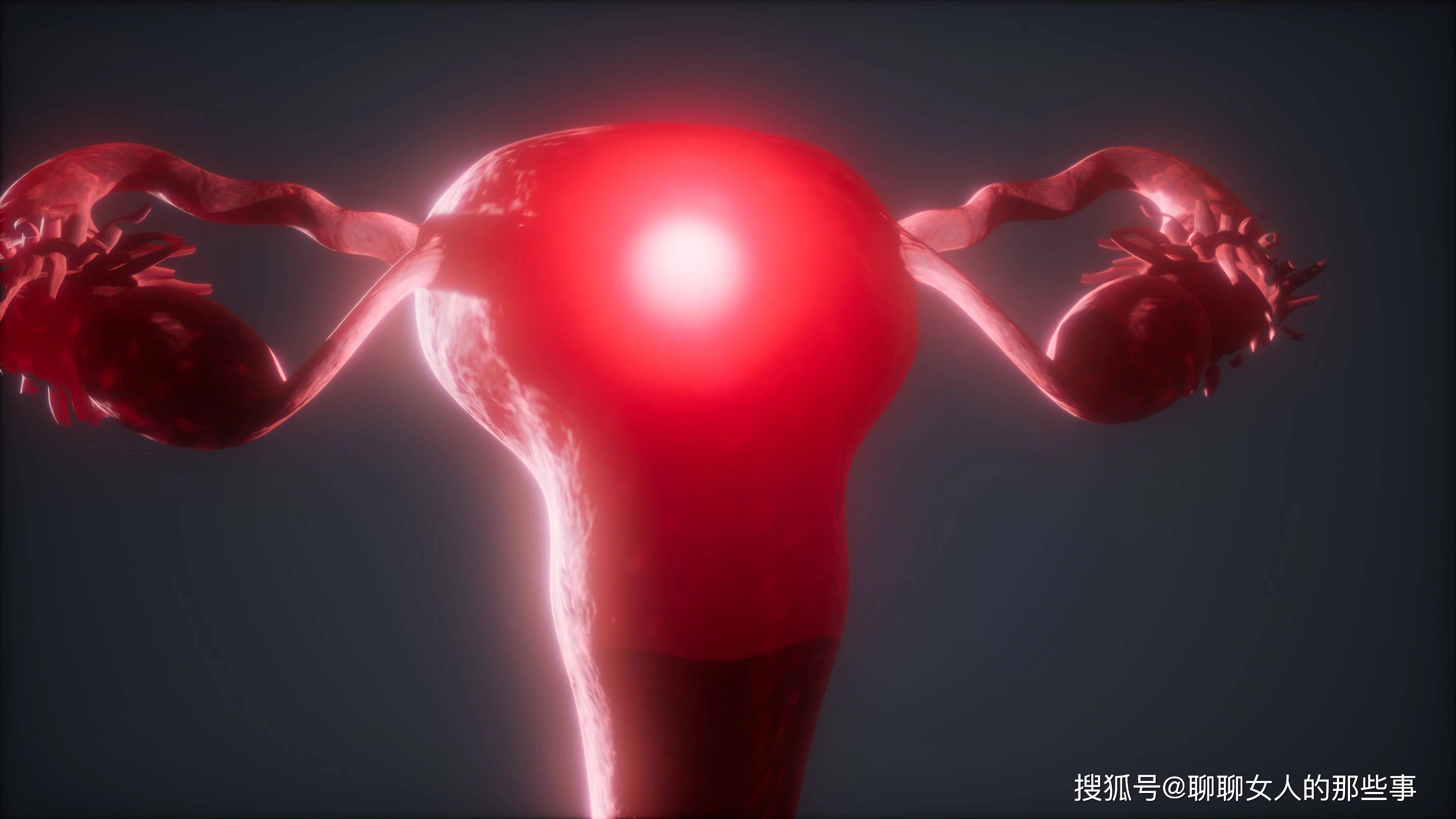 在这七个阶段中女性生殖系统也逐渐发生变化,以适应各个阶段生理的