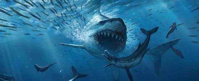原创巨齿鲨我是蓝星史上咬合力最强的生物