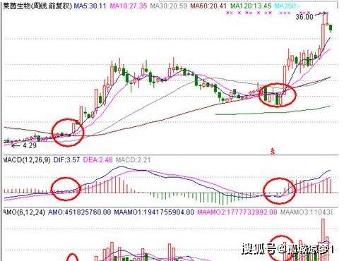 终于有人发声了:未来会涨10倍的股票会是哪个行业?