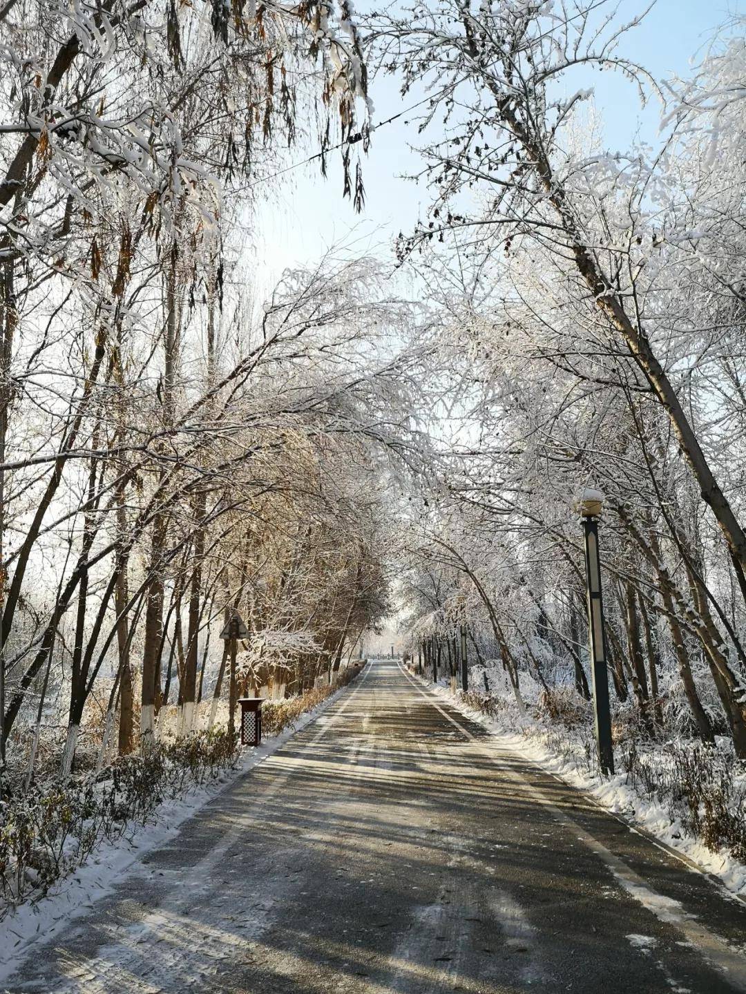 2022年伊宁市的第一场雪_雪花_银白色_雾气