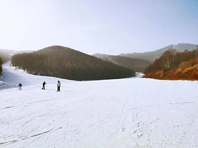 内蒙哪家滑雪场好被誉为东方雪源圣地的美林谷滑雪场怎么样