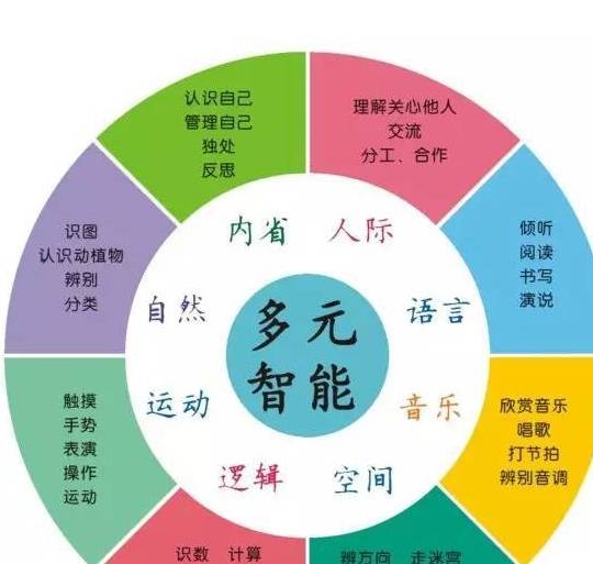 八大方面:逻辑—数理智能,语言智能,自然观察智能,人际交往智能,自我