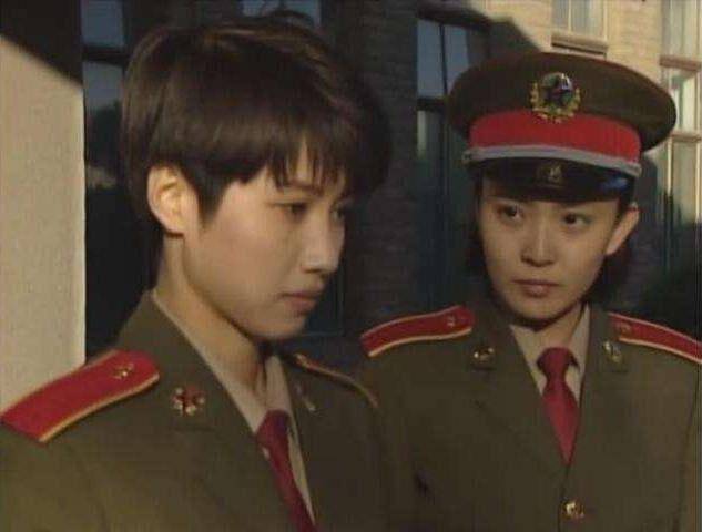 1998年,颜丙燕凭借《红十字方队》获得了金鹰奖最佳女配,算是演技