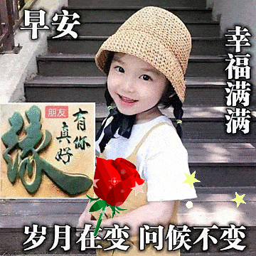 360_360gif 动态图 动图