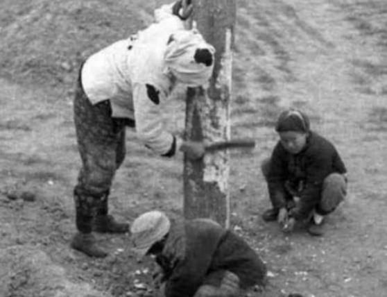哀牢山第一悍匪,被我军枪决,死前密藏300箱金条,至今无人找到_李润之