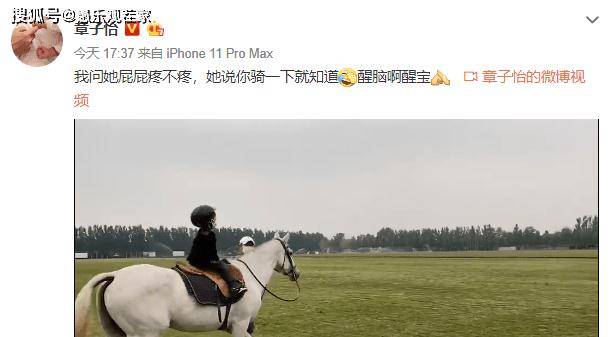 原创章子怡发醒宝骑马视频一身马术服特别专业母女俩的对话更有趣