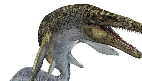 海洋里最大的恐龙排行榜,体型最大的海洋恐龙你肯定不知道!