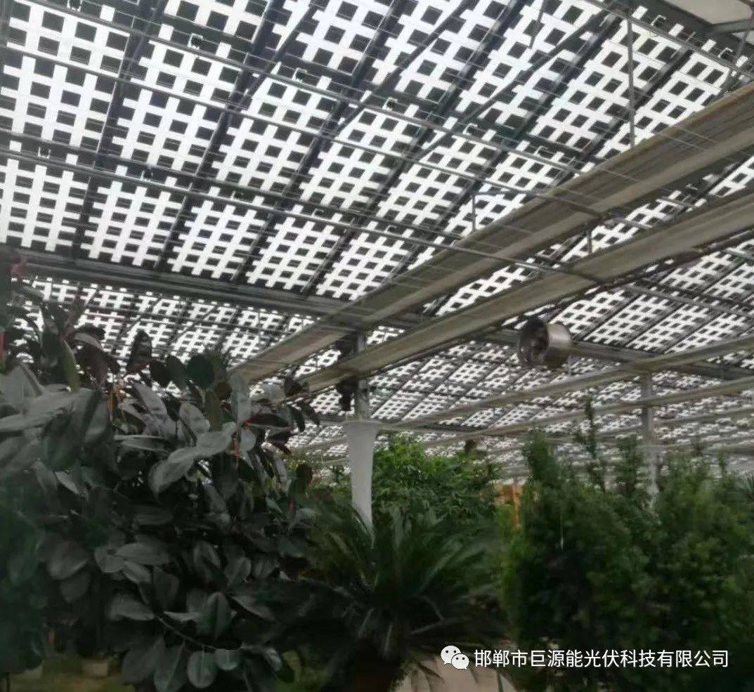 光伏农业大棚的建设优势分析_温室_发电_项目