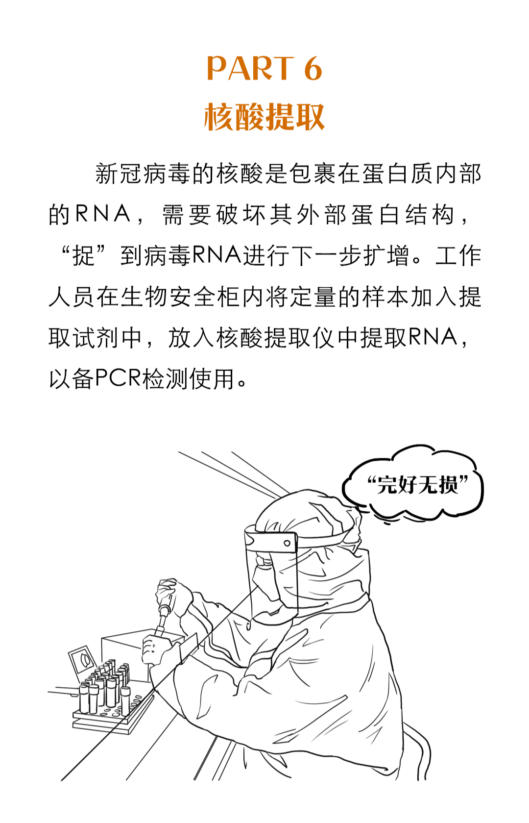 赛普科普一图揭秘核酸检测全过程