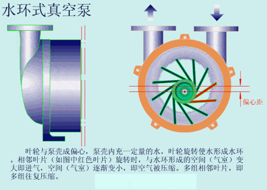 分享学习:水环式真空泵的工作原理及特点_气体_排气_作用