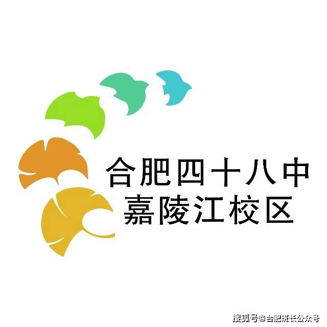 原创十一所中学或校区傻傻分不清班长详解合肥四十八中学教育集团