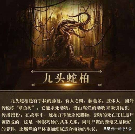 盘点盗墓笔记中最恐怖的十大怪物血尸最恶心禁婆还有点好看