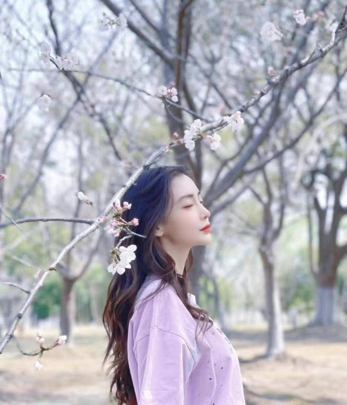 angelababy樱花随拍照,简直美出天际,网友:少女感十足_连明星_照片