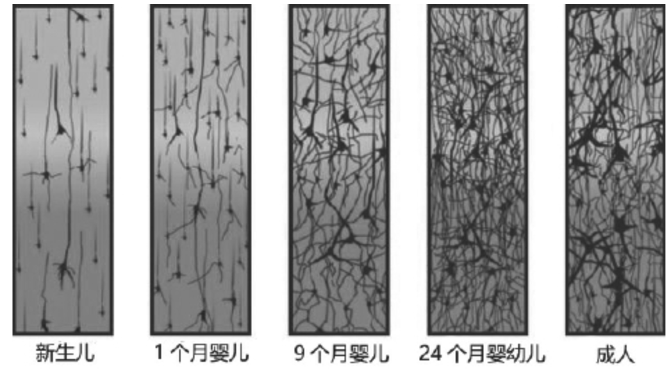 3岁前娃怎么吃最有营养？看看指南怎么说,这些吃不够影响脑发育