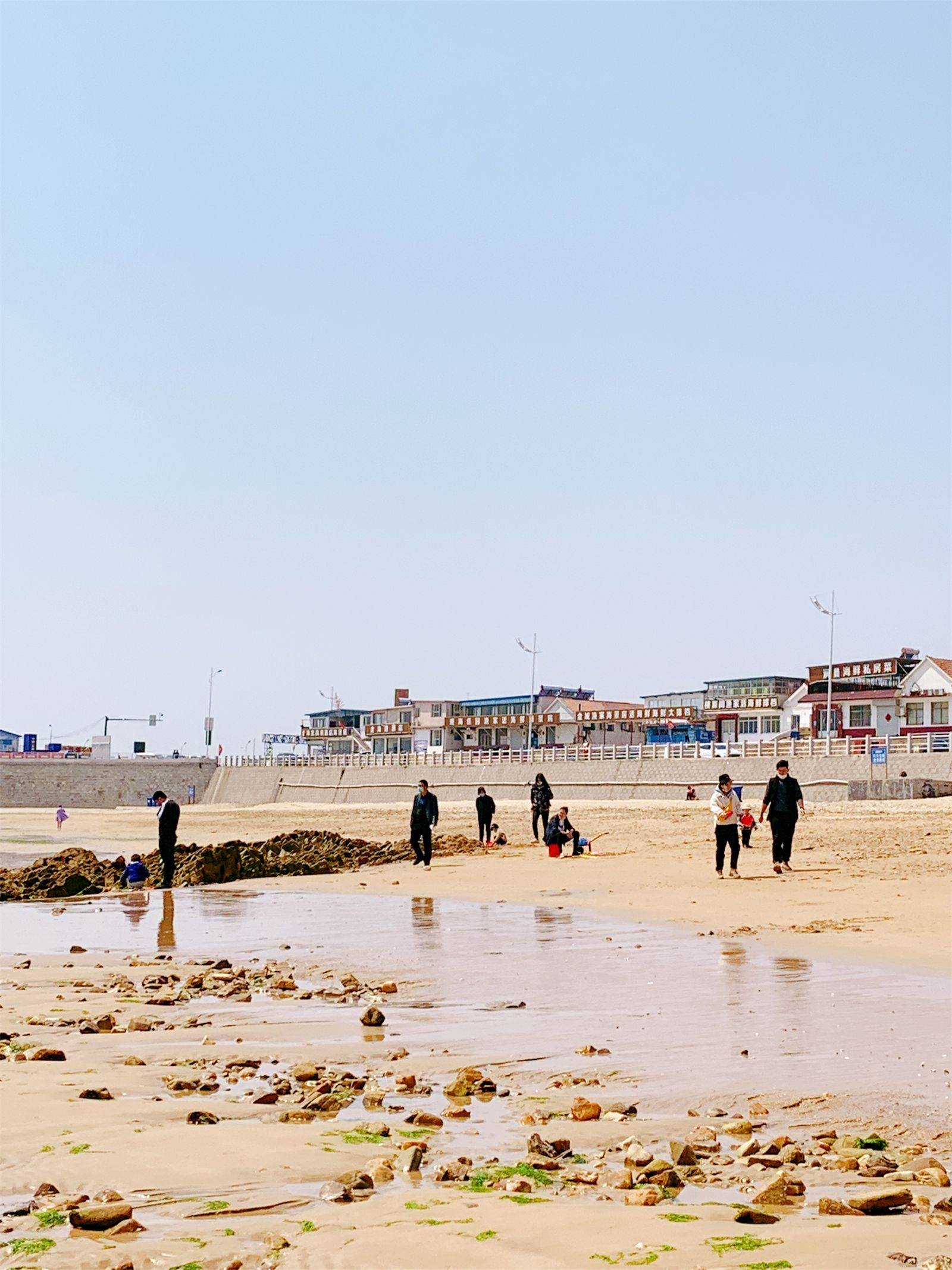 张家台赶海园是礁石海域,可以在退潮后到礁石的细缝中去拾贝,捕捉小鱼