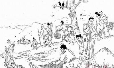 更为可怕的是,即使土地被夺走,但是依附于土地的农民税赋权并没有进行