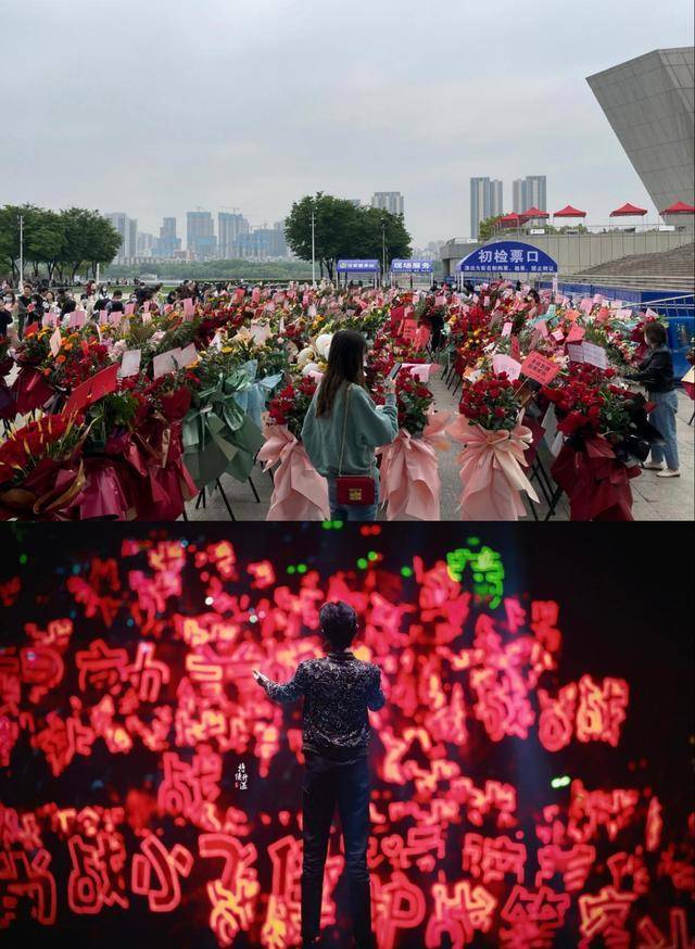 原创红海之后再现梦幻花海肖战如梦之梦现场景象令人感动