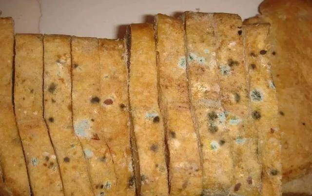 一些生活节俭的人把面包,水果等食物发霉部分去掉,剩下的继续吃,这种