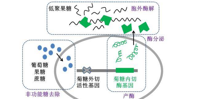 每天吃35g这种食物,尿酸将会升高15%,医生直言:很多人都忽视了_果糖