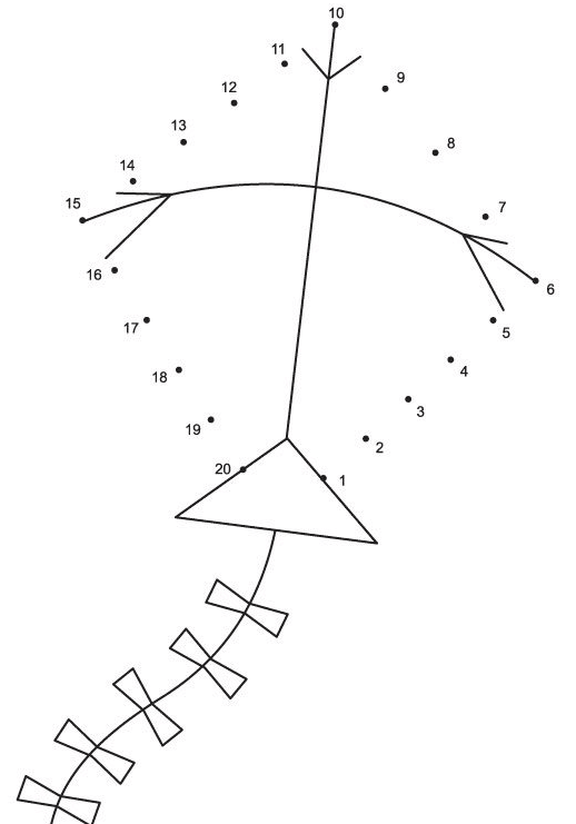 可以让孩子们在玩中学的数字连线画快来收藏