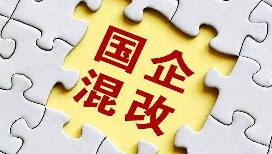 企业_公有制_问题