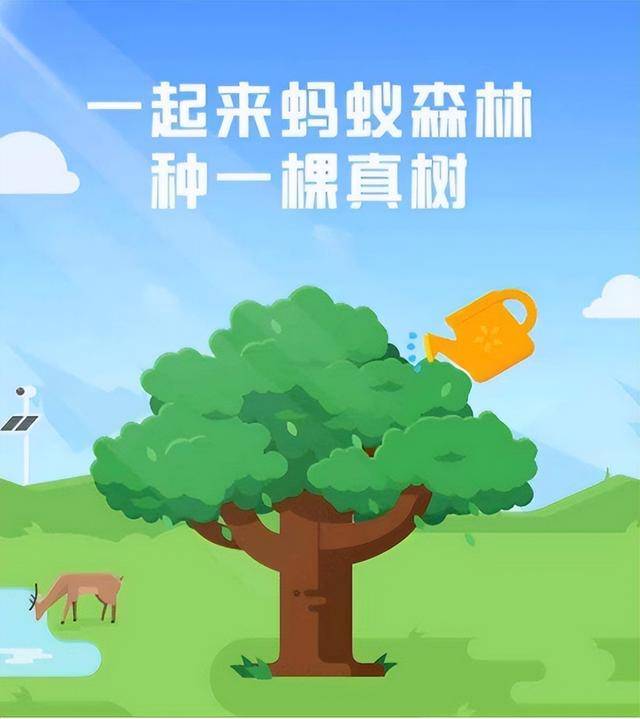 蚂蚁森林五年了,马云许诺每年种一亿棵树,这些树种了么_种植_活动