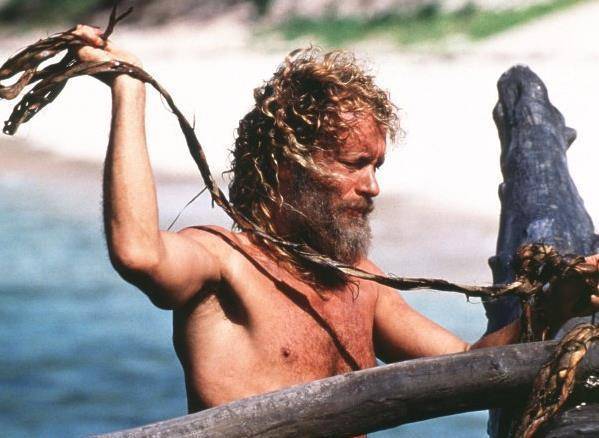 荒岛余生电影 来自搜狐网